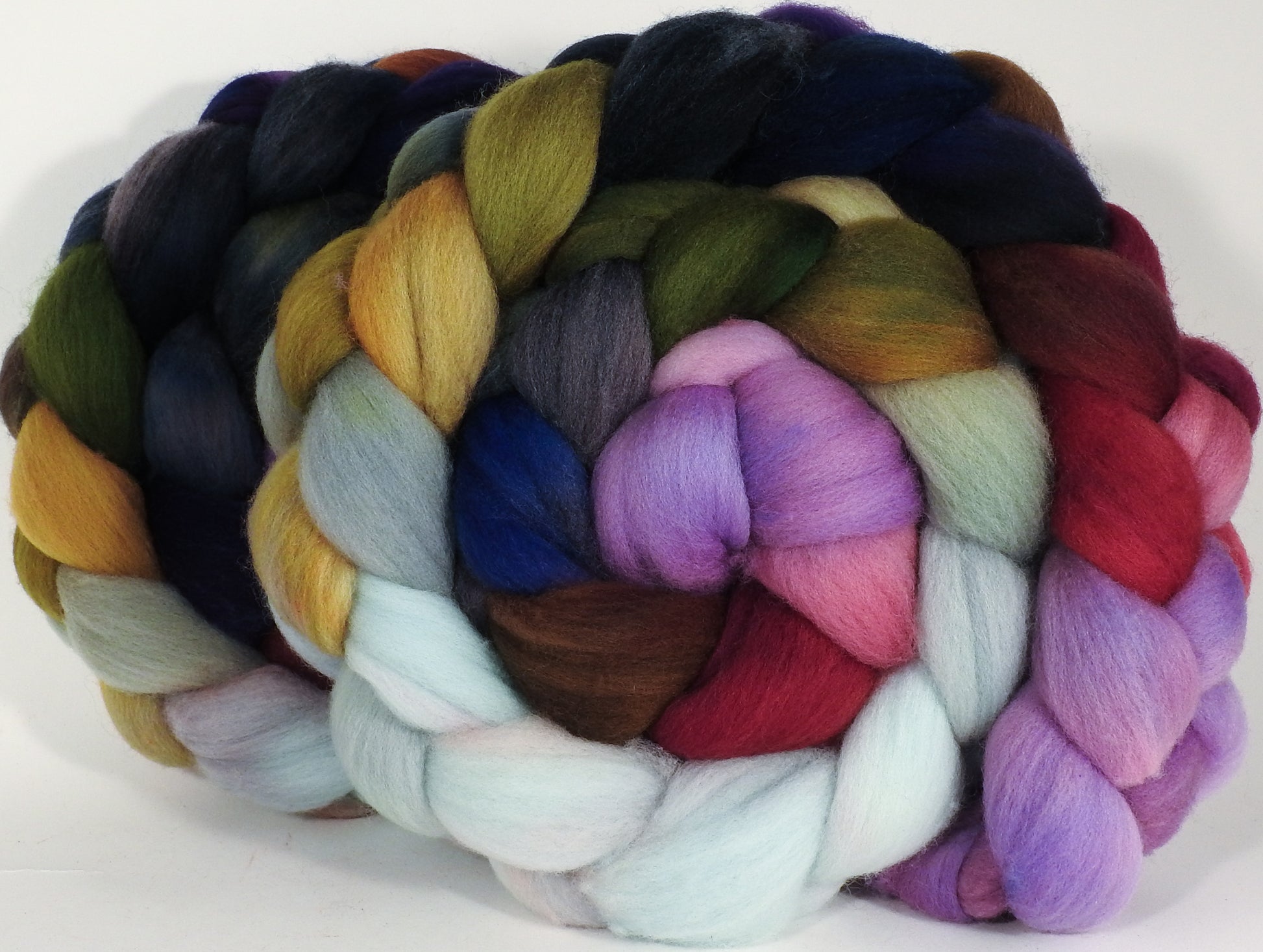 Hand dyed top for spinning - Cabbages & Kings - (5.2 oz.) Organic Polwarth - Inglenook Fibers