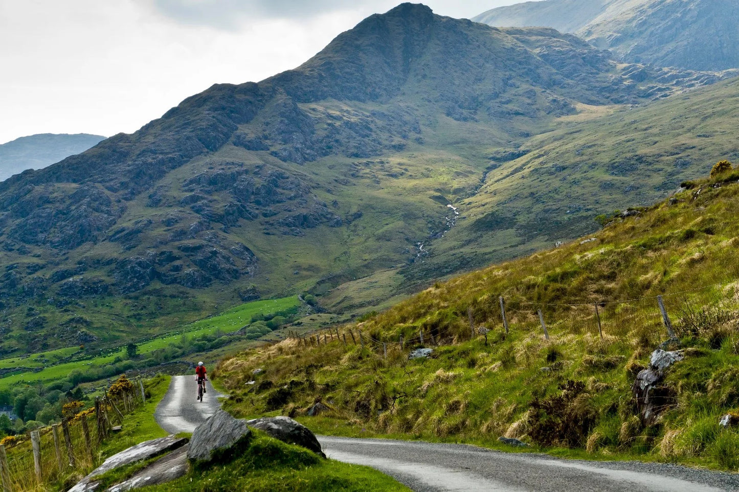 Sparkle Roly-Poly Batts - Ring of Kerry - GREENSWARD (3.8 oz) - 30% Romeldale Fleece; merino, polwarth, silk, bamboo, sari silk, angelina