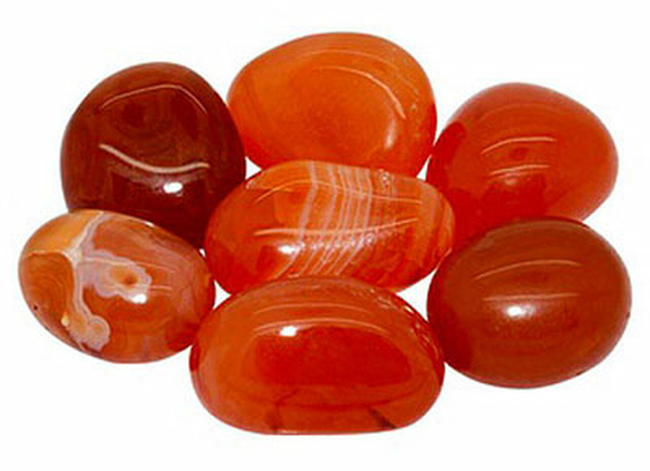 Carnelian (5.9 oz) -Glazed Solid- Targhee