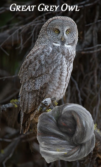 Owls of New England - Non-Sparkle Sticklebatts -Border Leicester/cvm/Rambouillet Romeldale X fleeces; merino, corriedale, polwarth, silk, bamboo, silk noil