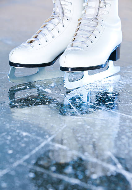 Ice Skating - Merino/ Pearl Fiber/ Tussah Silk/ Icicle Stellina  (60/25/10/5 ) - Inglenook Fibers