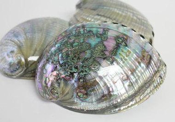 Abalone- Custom Blended Top- Pearl Fiber/ Merino/ Silk / Rainbow Trilobal Firestar (25/25/40/10) - Inglenook Fibers