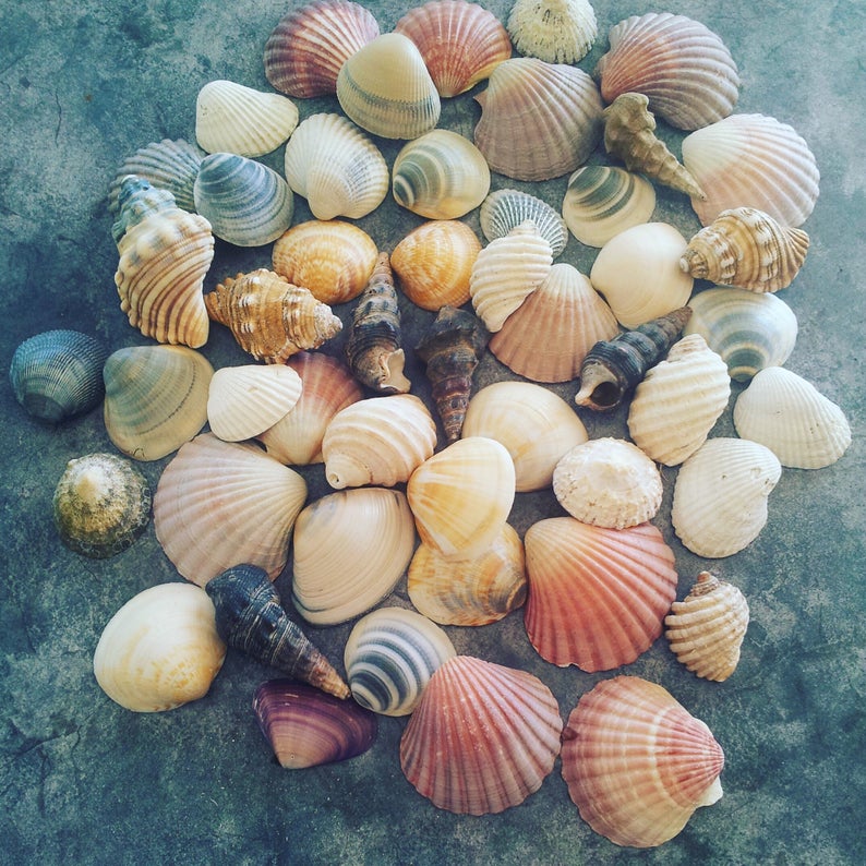 Seashells  - Non-Sparkle Sticklebatts- CAMEL, superfine merino, silk, bamboo, rambouillet, silk noil - Inglenook Fibers