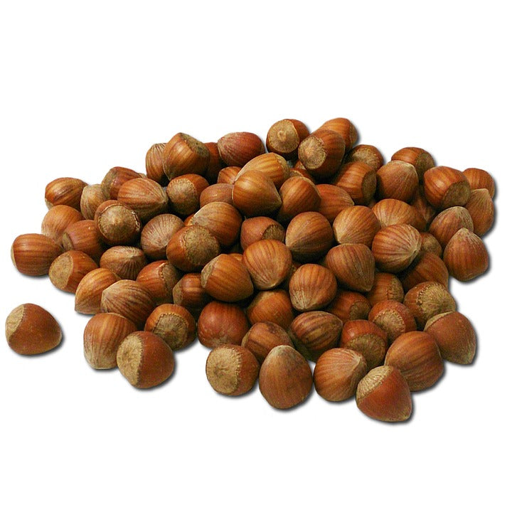 Hazelnut- Custom Blended Top- Corriedale/ Superfine Merino/ Mulberry Silk / FLAX (40/25/25/10) - Inglenook Fibers