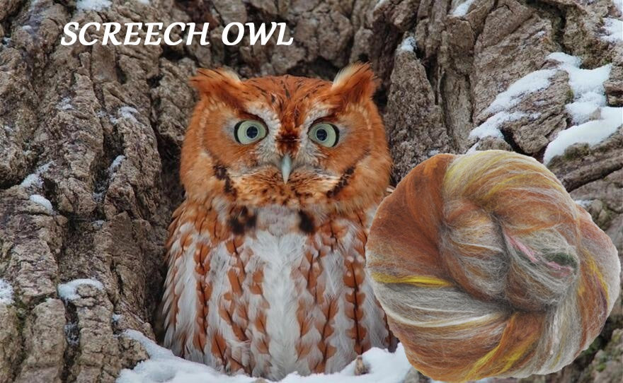 Owls of New England - Non-Sparkle Sticklebatts -Border Leicester/cvm/Rambouillet Romeldale X fleeces; merino, corriedale, polwarth, silk, bamboo, silk noil
