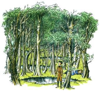 The Wood Between the Worlds- Sticklebatts-( 4.1 oz. ) CASHMERE, silk, merino, polwarth, bamboo
